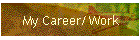 My Career/Work