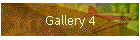 Gallery 4