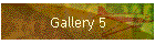 Gallery 5