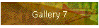 Gallery 7