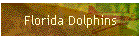 Florida Dolphins