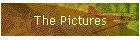 The Pictures