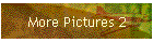 More Pictures 2