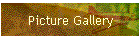 Picture Gallery