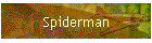 Spiderman
