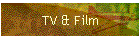 TV & Film
