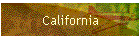 California