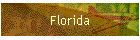 Florida