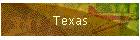Texas
