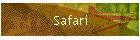 Safari